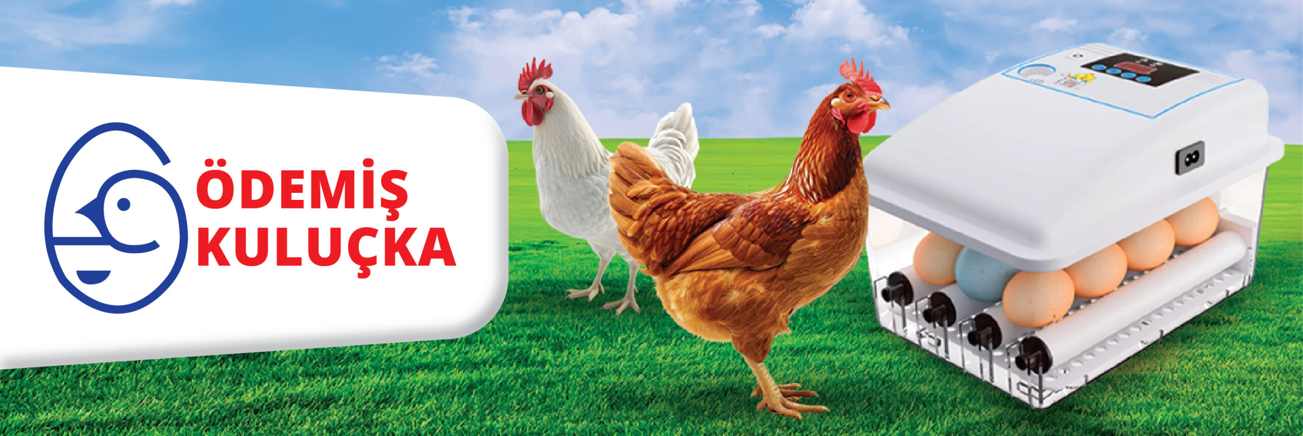 Kuluçka Banner