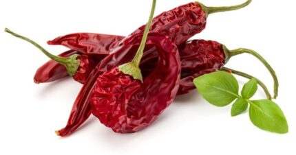 biber sivri kuru (dizi)