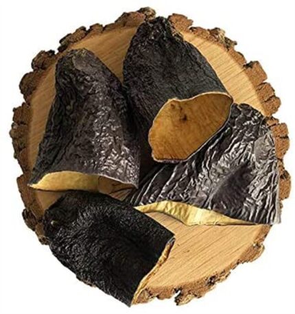 kuru patlıcan (dizi)